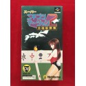 Nintendo Super Famicom Super Nichibutsu Mahjong 2 NTSC J