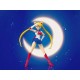 Bandai SH Figurarts Sailor Moon Animation Color