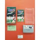 Super Nichibutsu Mahjong 2 - Nintendo Super Famicom NTSC J